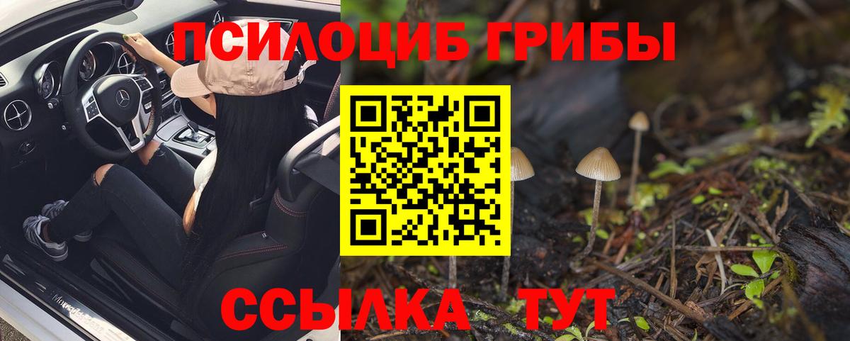 Псилоцибиновые грибы Psilocybine cubensis  Псилоцибиновые грибы MAGIC MUSHROOMS  Вход с VPN  Кудымкар 