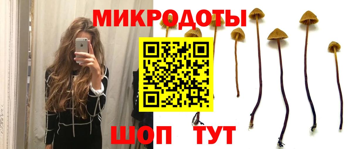 Галлюциногенные грибы Psilocybe Кудымкар
